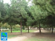 Ro. Valencia, Comunidad Valenciana